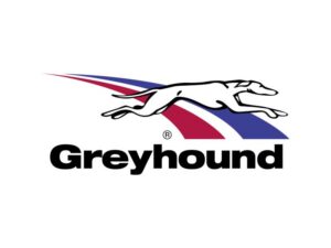 Greyhound
